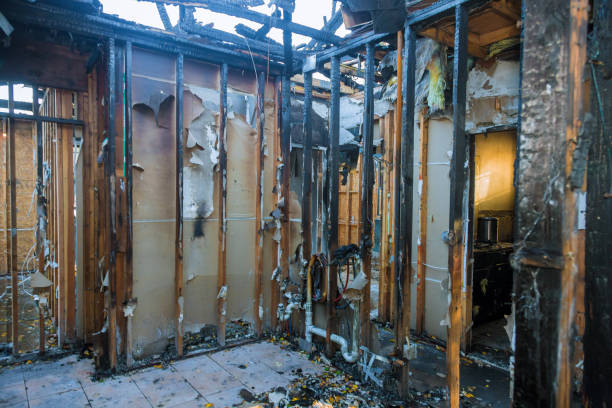 Professional Odor Removal technician working in Richwood, TX