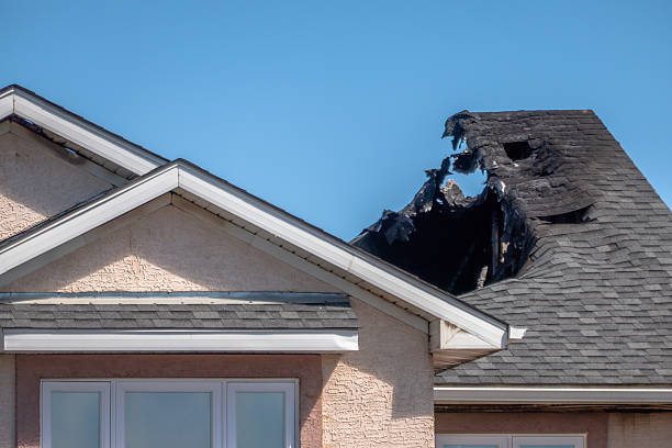 Top rated local Odor Removal specialists in Richwood, TX